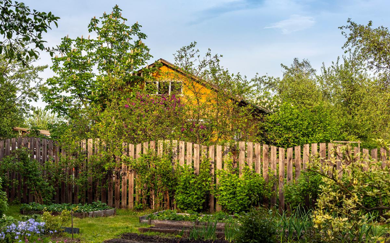 Что делать, если сосед занял часть участка. Разъяснения Росреестра