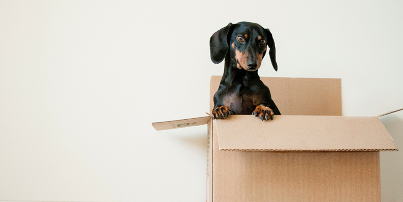 Что нужно для переезда в новую квартиру: чек-лист