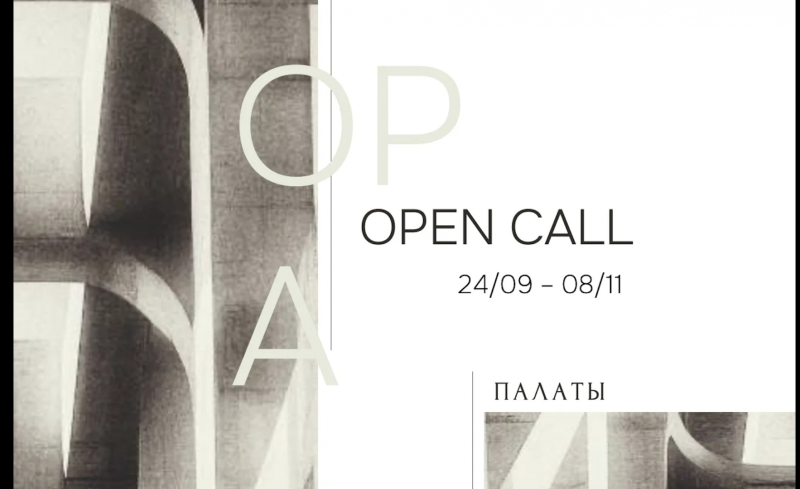 Галерея Палаты запустила набор новых авторов