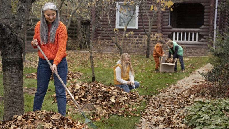 Семья занимается осенней уборкой на дачном участке
