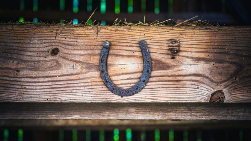 Подкова, символ удачи и оберег дома