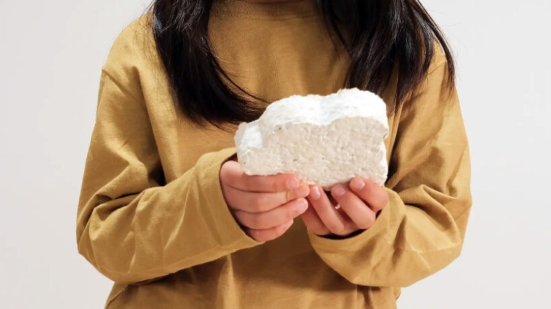 Набор MYMORI позволяет создавать игрушки из мицелия