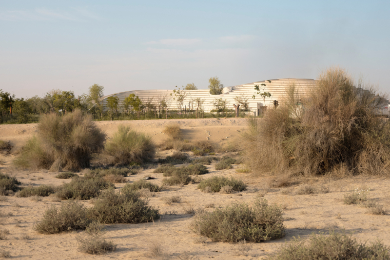 Новый Учебный центр Гафского леса в городе Дубай, ОАЭ