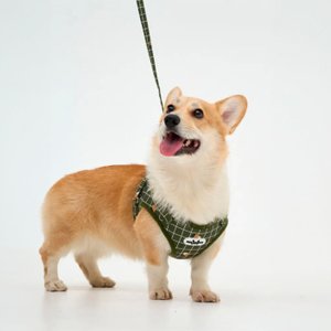 Шлейка для собак мелких пород и кошек