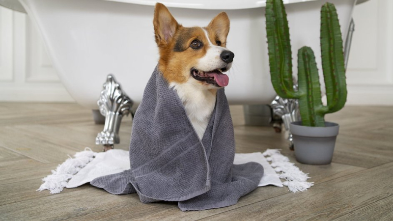 Собака сидит в ванной комнате на коврике с подогревом 